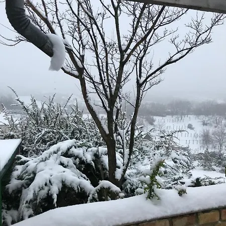 Kőlépcsős * Nyúl