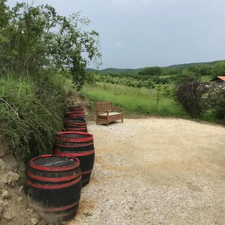 Kolepcsos Vendeghaz בית נופש *