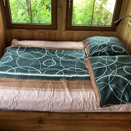 Kőlépcsős * Nyúl