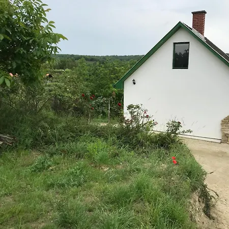 Kőlépcsős * Nyúl