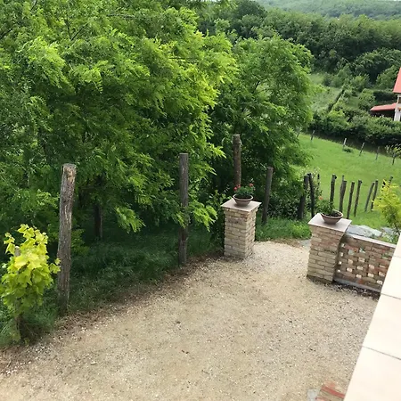 Casa vacanze Kőlépcsős Nyúl