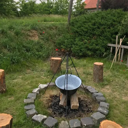 Kőlépcsős * Nyúl