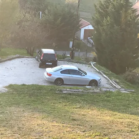 Kolepcsos Vendeghaz * Nyúl