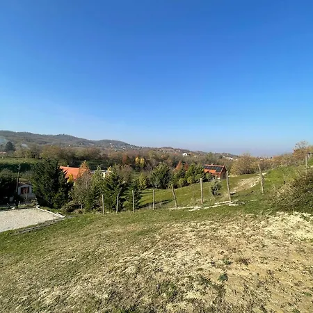 Kolepcsos Vendeghaz * Nyúl