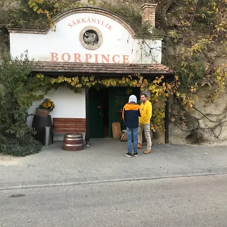 Kolepcsos Vendeghaz 別荘