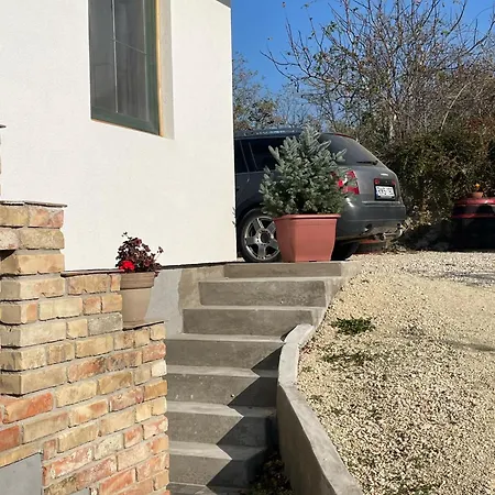 Kolepcsos Vendeghaz * Nyúl