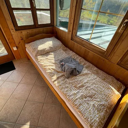 Kőlépcsős * Nyúl