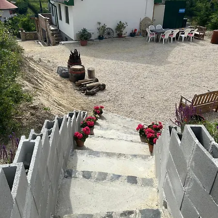 Kolepcsos Vendeghaz Nyúl