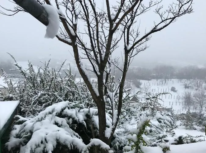 Kolepcsos Vendeghaz * Nyúl