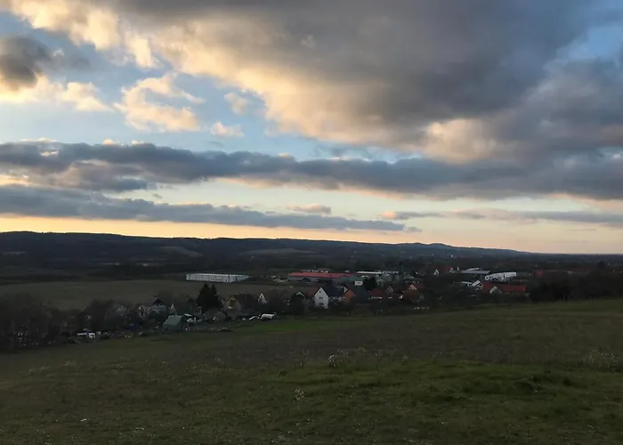 Kolepcsos Vendeghaz * Nyúl