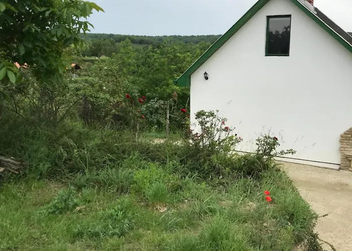 Kolepcsos Vendeghaz * Nyúl