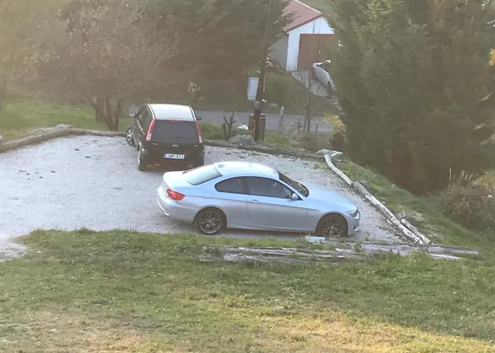 Kolepcsos Vendeghaz * Nyúl