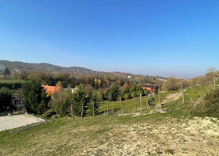 Kolepcsos Vendeghaz * Nyúl