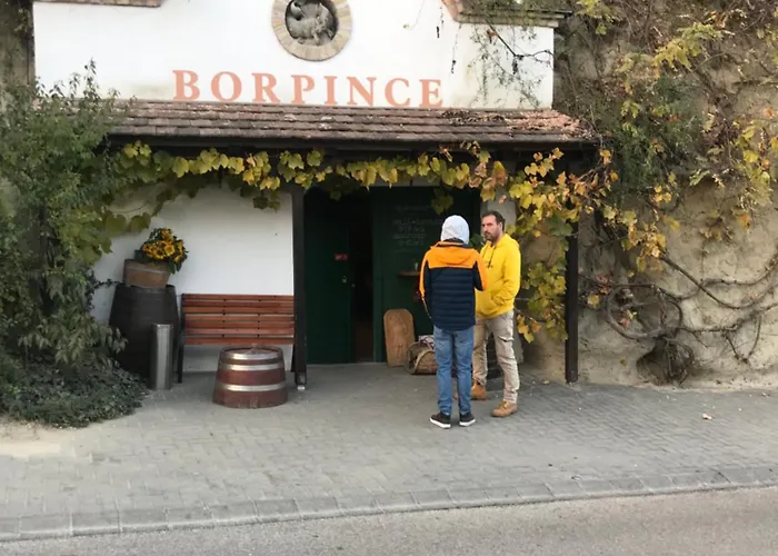 Kolepcsos Vendeghaz בית נופש