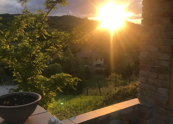 Kolepcsos Vendeghaz *